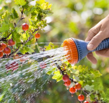 Kit analyse eau de puits, forage, source - La Drôme Laboratoire